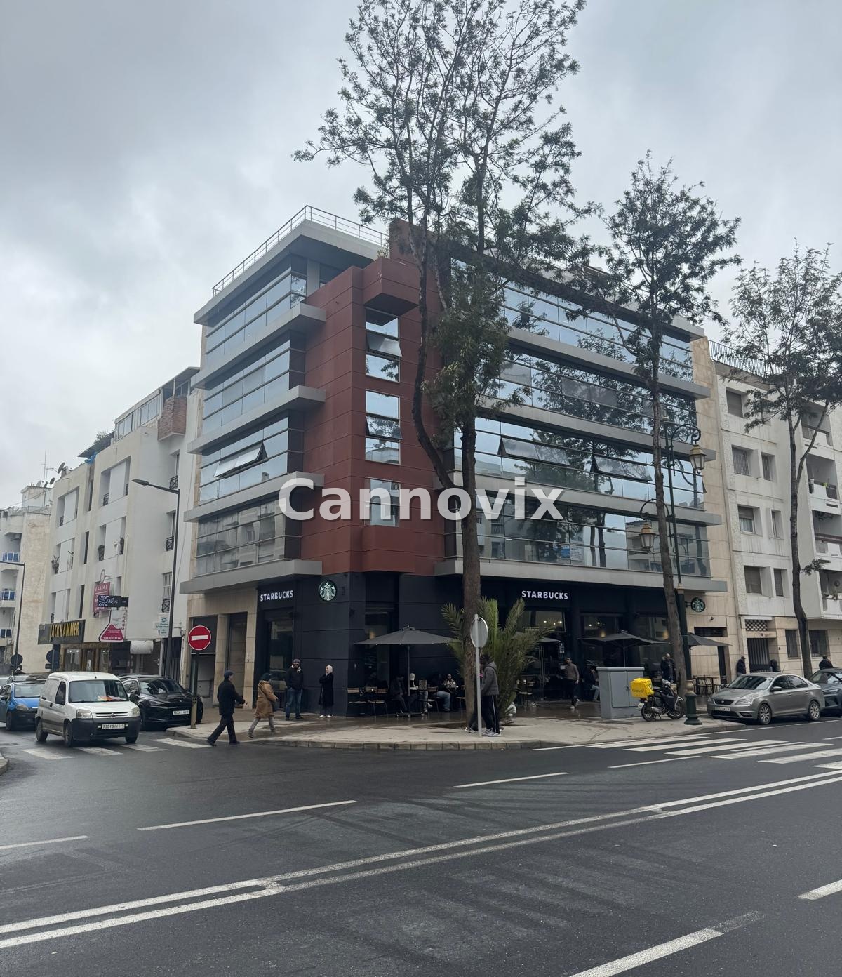 Galeria — Biuro Cannovix 1