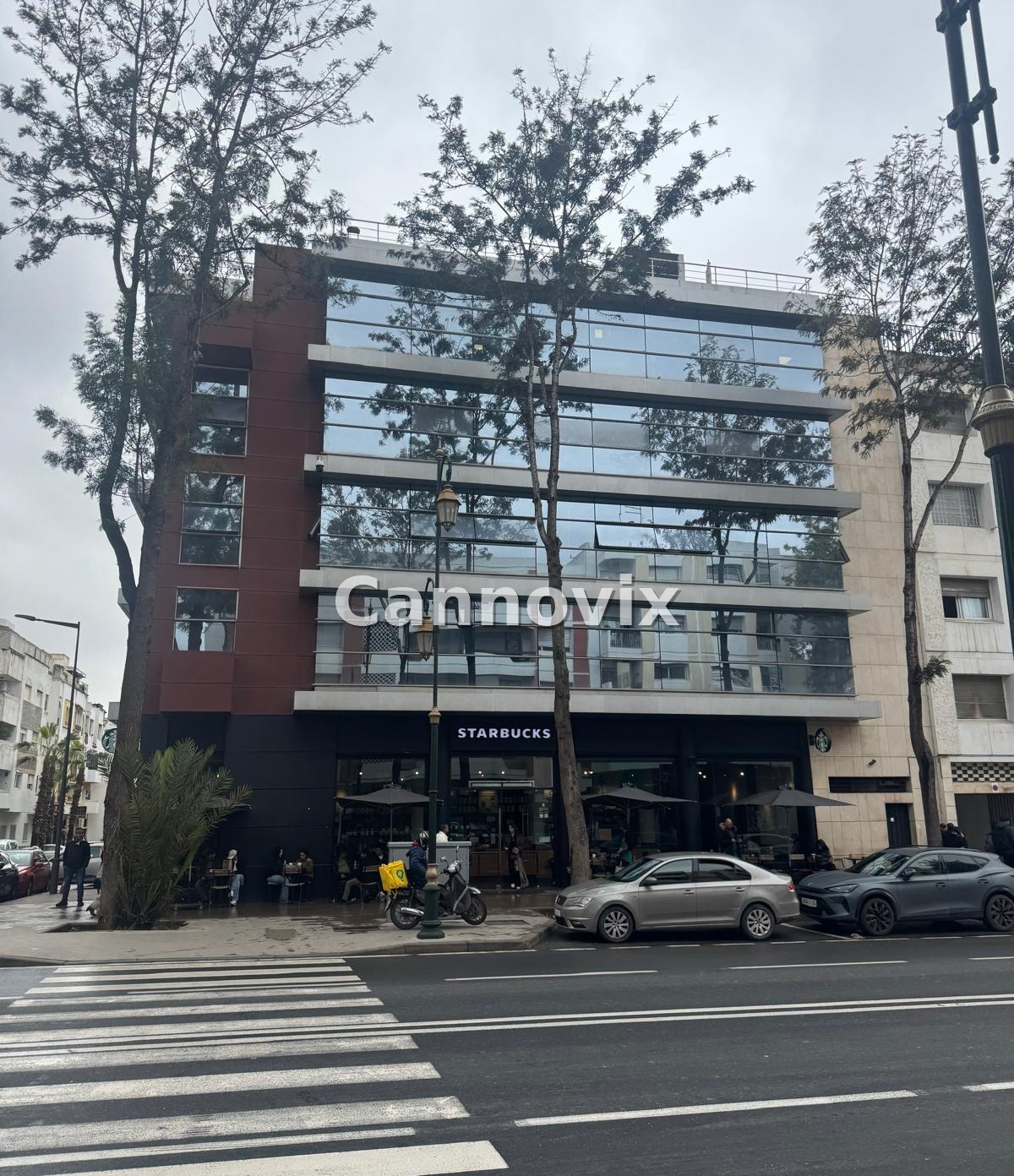 Galeria — Biuro Cannovix 2