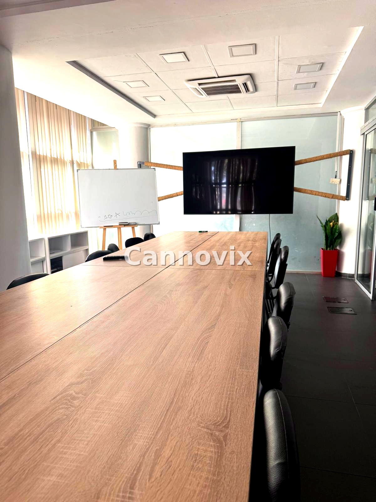 Galeria — Biuro Cannovix 5